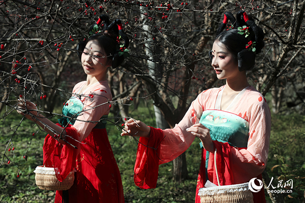 ɽ�����S�������������ο�ǰ���w�(y��n)��ժ������W(w��ng)ӛ�� ��ƽ�z