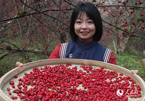 ɽ�����S�������������ο�ǰ���w�(y��n)��ժ������W(w��ng)ӛ�� ��ƽ�z