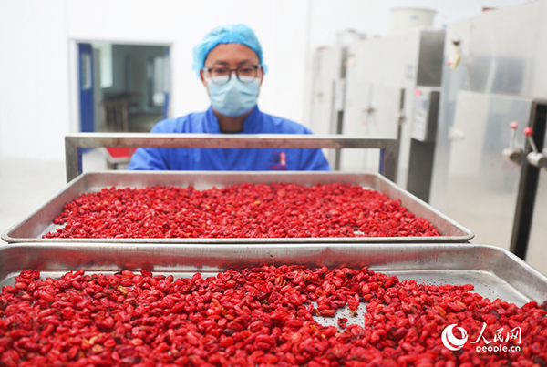 ���a(ch��n)܇�g�����������ڼӹ�ɽ���ǡ�����W(w��ng)ӛ�� ��ƽ�z