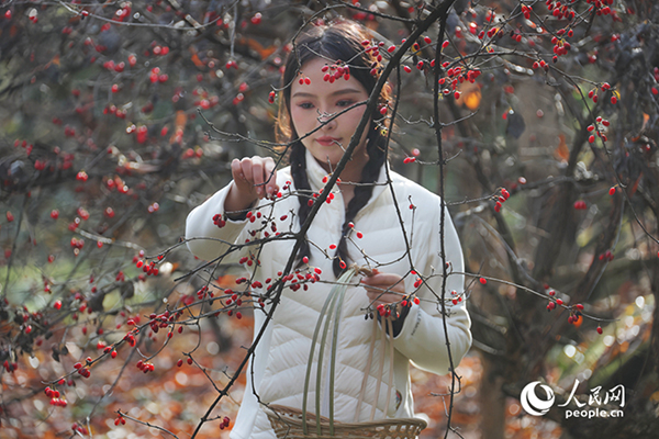 ɽ�����S�������������ο�ǰ���w�(y��n)��ժ������W(w��ng)ӛ�� ��ƽ�z