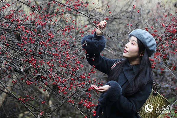 ɽ�����S�������������ο�ǰ���w�(y��n)��ժ������W(w��ng)ӛ�� ��ƽ�z