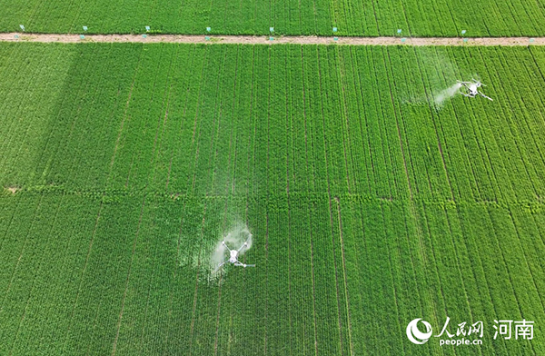 ����С��������m(x��)��