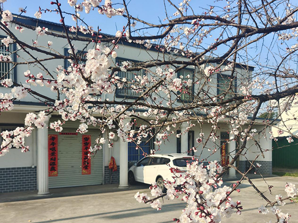 �r(n��ng)���Ә�M֦�_ ���ա�