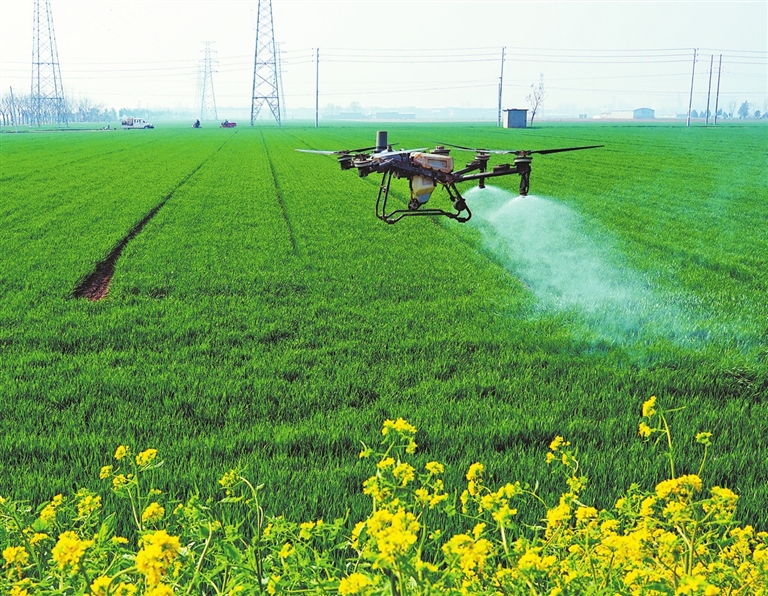 �Ƽ����ۡ�����