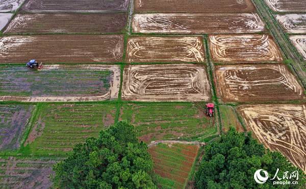 ������ˮ�����ꝙ�ﮠ �r(n��ng)�C(j��)�L���S����