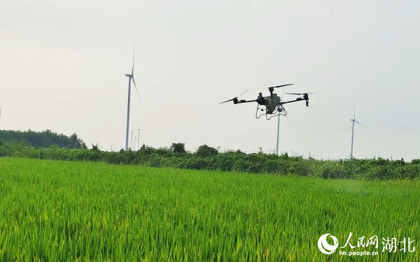 �Ƽ��x�� ׌�������ܸ���Ч