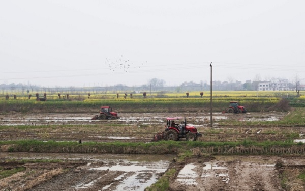 �����r(n��ng)�C����ץ�r(n��ng)�r�����r(n��ng)������Cе���N����(zh��n)���������z