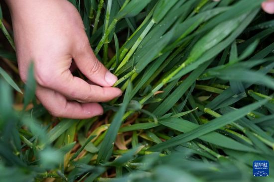 ���ء��r(n��ng)��ǰ�ڡ����r(n��ng)�d�r(n��ng)