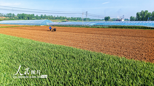 �������(y��ng)�����괺����