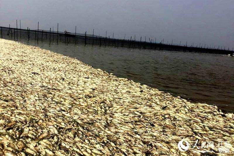 �D������h�缯�(zh��n)һλ�B(y��ng)ֳ���ṩ�����~��Ƭ��