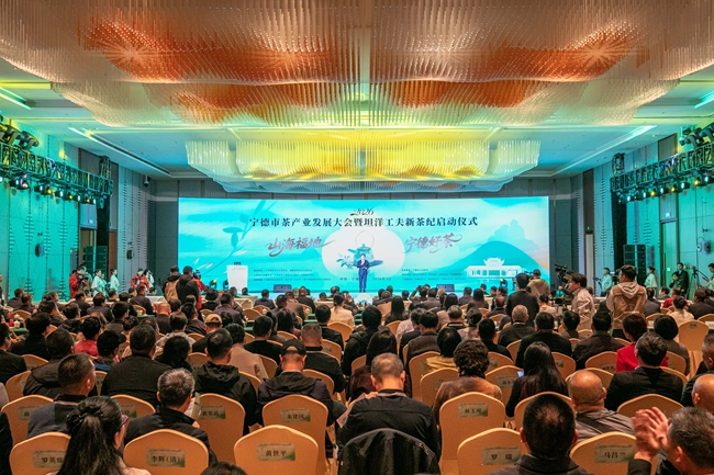 ��ӬF(xi��n)��