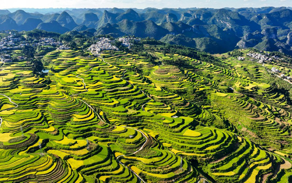 Ʒ���r(n��ng)�I(y��)�l(f��)չ���H���e��