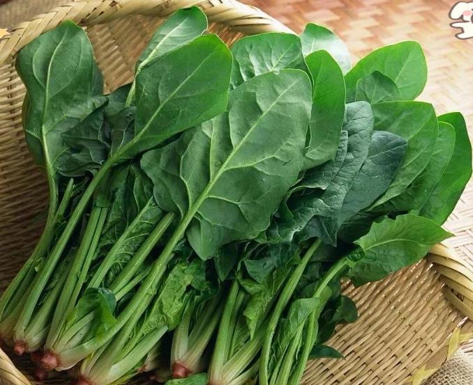 ����������˲����� �@�ݲ���ʳ��ָ��Ո�պ�