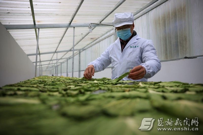 6833ca7d0cf2bbd8e2434e05