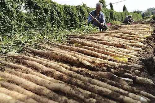 ���t(y��)�Ļ������} ʲô�ǡ����ء�ˎ��