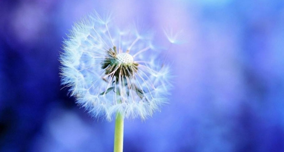 �۰l(f��)�����ѹ�Ӣ�ݲ�