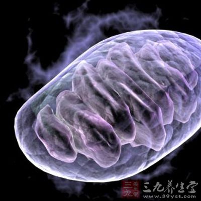 �b���������[���l(f��)չ����ĸ��N����