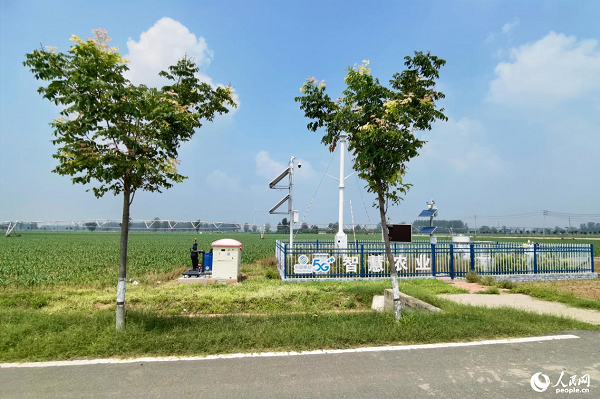 �m���h�t�R�(zh��n)�ߘ�(bi��o)��(zh��n)�r(n��ng)�����W(w��ng) �����x�z