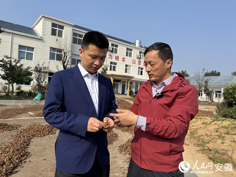 ��ͨ�y�а���ʡ���У����r(n��ng)���J �������r(n��ng)