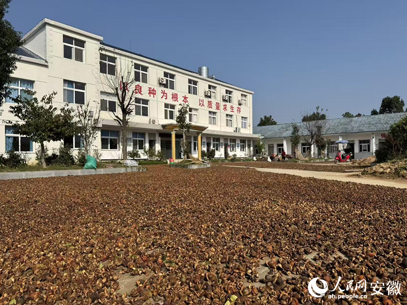 �²���ľ��˾�@��(n��i)���������ի@���Ͳ���������W(w��ng)ӛ�� �����ɔz