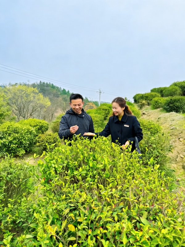 �͑���(j��ng)�����L��@