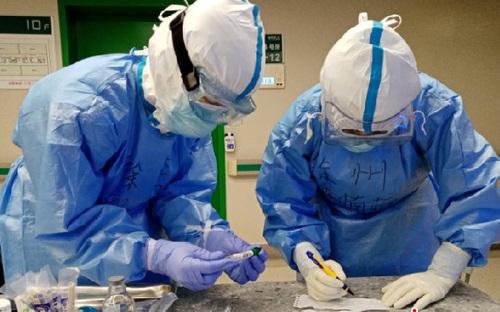 005056b8ee6b1fde69dc20