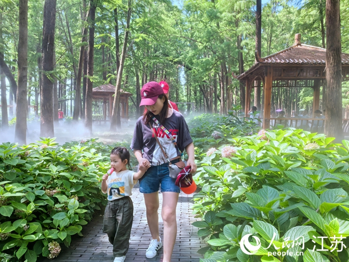 �����ο����d��������ˮ��ɭ�־��^(q��)����������W(w��ng) �������z