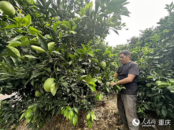 ����ȫ���ڞ������֦������Wӛ�� �������z