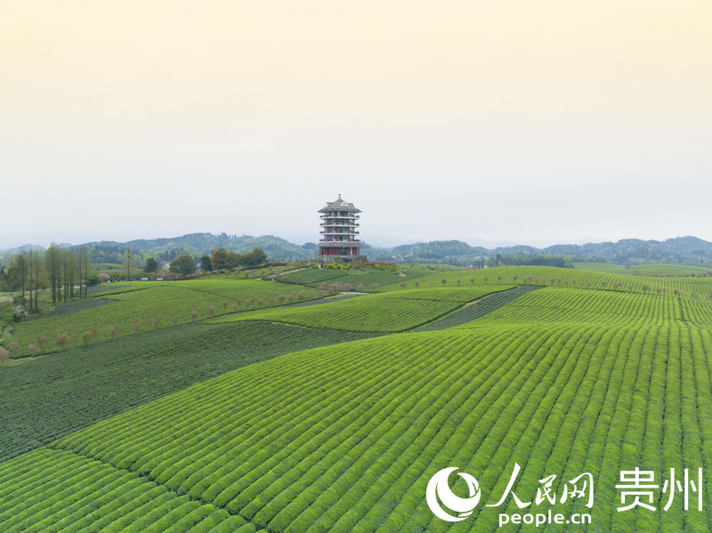 ��̶�躣������W(w��ng)�����ܔz