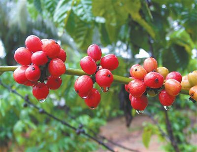 ���Ͽ��� ���h�u�⣨̽�L��