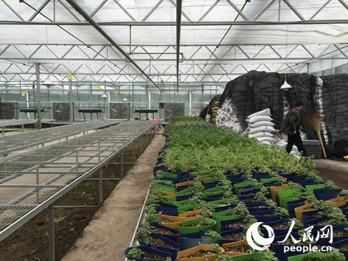 ���S�a(ch��n)�I(y��)�@�߲˴����(n��i)���龰������W(w��ng)ӛ�� ���הz