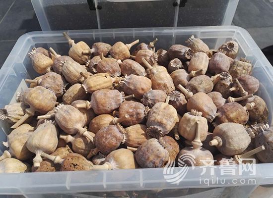 �D��F(xi��n)��(ch��ng)չʾ�����ښ�