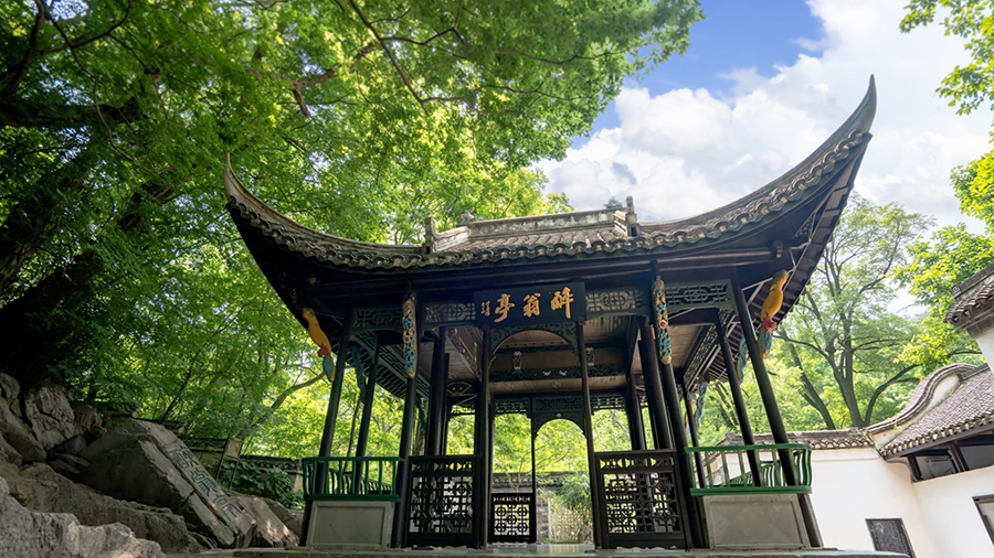 ����ͤ��������ί���������D