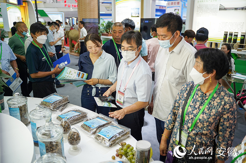 �c��(hu��)������չ�_(t��i)ǰ�酢չ���ṩָ��(d��o)������W(w��ng) ���J�z