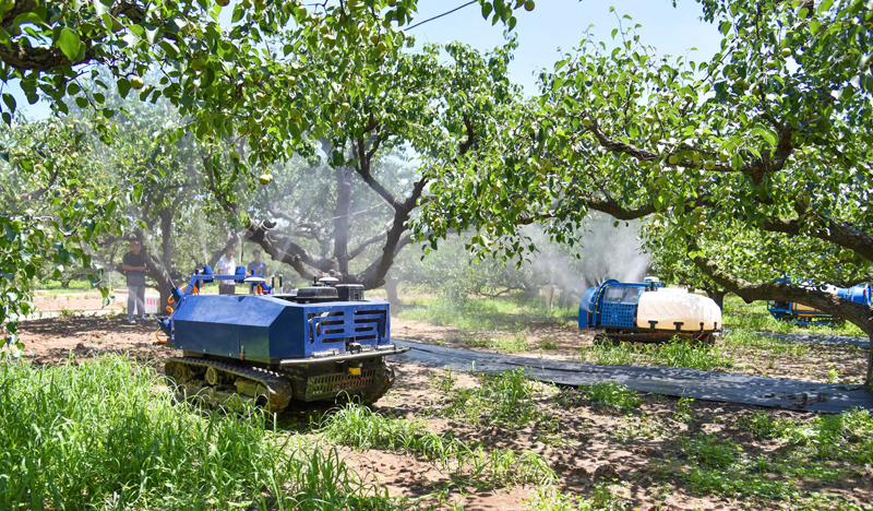 �Xɽ���@AI�C(j��)������������ί���������D