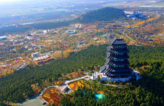 �������݈@���@��������ί���������D