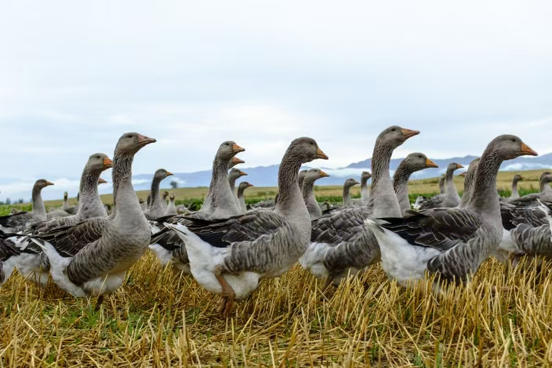 �ʵ��Z������h�r(n��ng)�I(y��)�r(n��ng)��� ���D.jpg