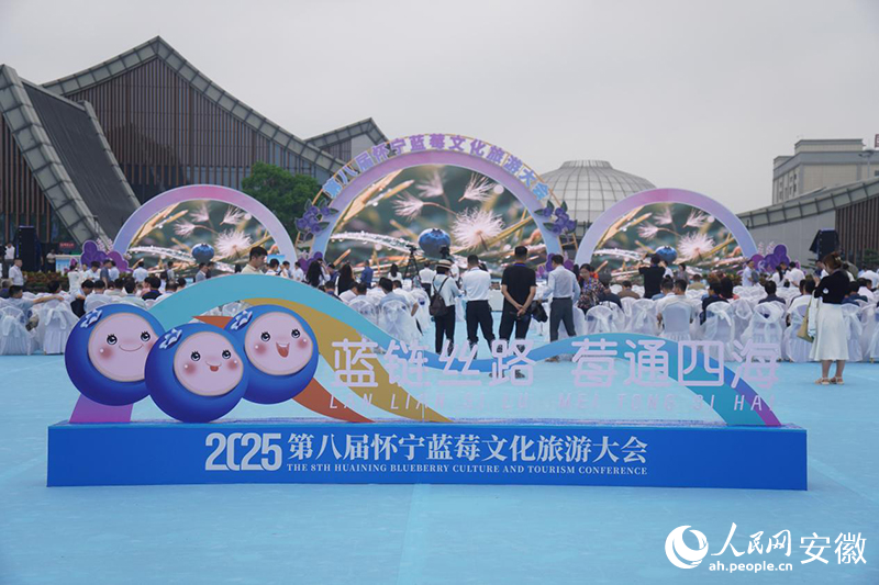 �ڰˌÑь��{ݮ�Ļ����δ���F(xi��n)��������W(w��ng)ӛ�� �����z