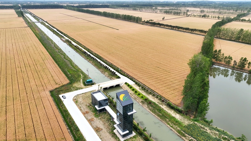 ƽ���(zh��n)���ǻ��r(n��ng)��(ch��ng)��С���M(j��n)���ի@�ڡ��|���hί���������D