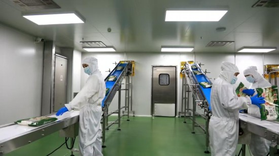 �@������500�������Ρ�