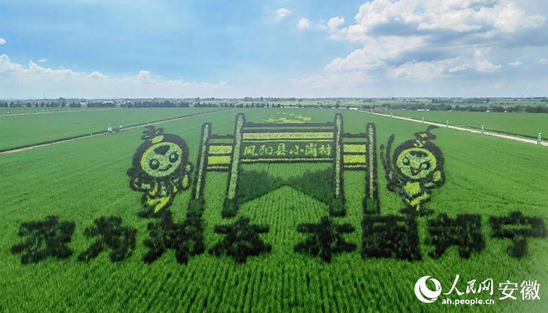 �����Pꖣ�����?z��)��¡?></a>
       <a href=