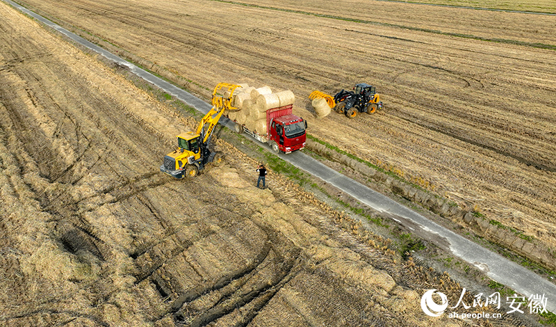 �������h(yu��n)��һ��Ŵ�ס�