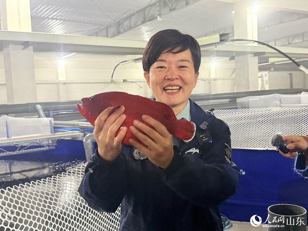 ����÷չʾ�B(y��ng)ֳ�ļt�ż��|�� ���Ӑ� �z