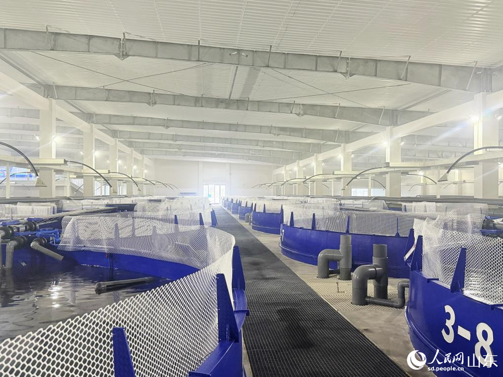 ɽ�|���_����ɽ�y����