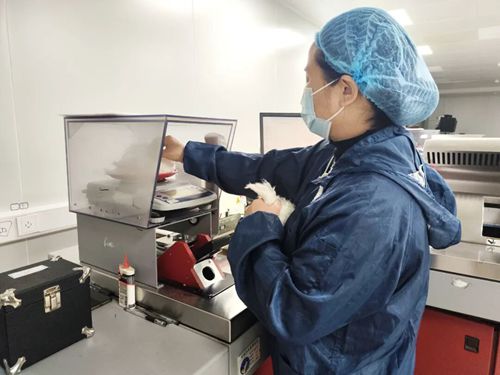 �����Йz�z�y���ġ�