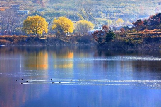 ɽ�|������һ����ڡ�