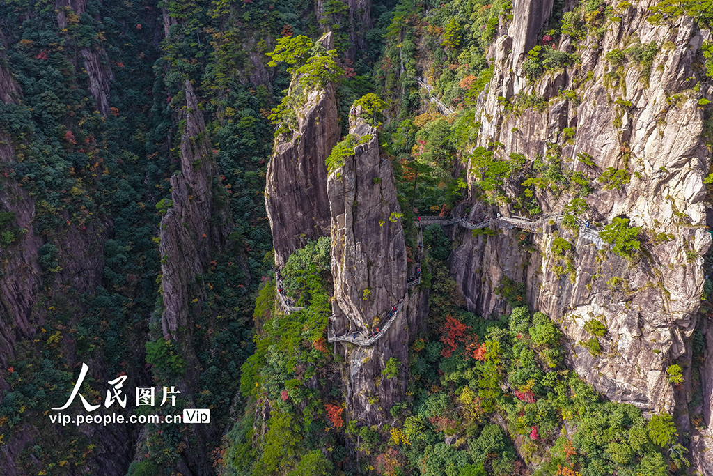 ���ֱMȾ�����