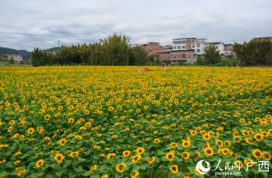 �V����|�����տ�ʢ�_ �����뮋ӭ�́�