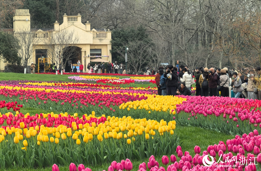 ���ݣ������㻨�_ӭ�́�