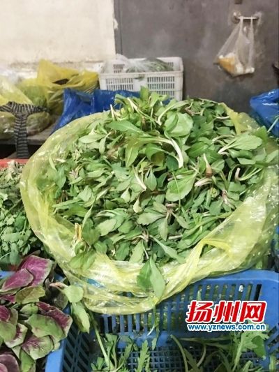 �P��������۵�Ұ�����R�m�^